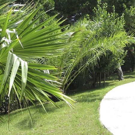 Appartement Dans Villa St Raphael Saint-Raphaël Eksteriør bilde