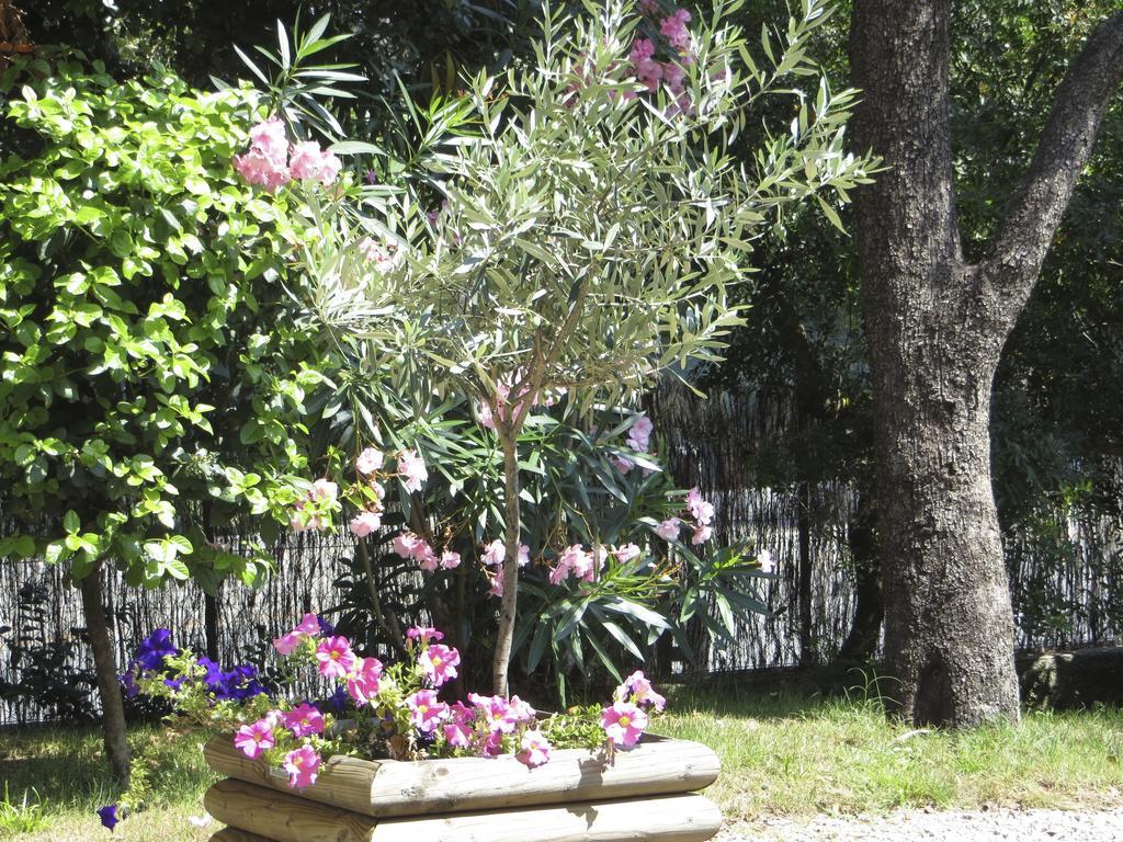 Appartement Dans Villa St Raphael Saint-Raphaël Rom bilde