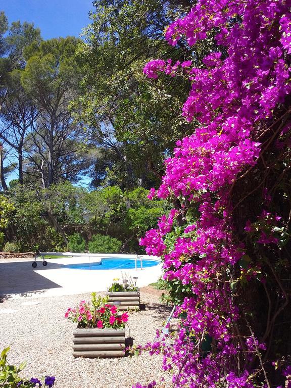 Appartement Dans Villa St Raphael Saint-Raphaël Eksteriør bilde